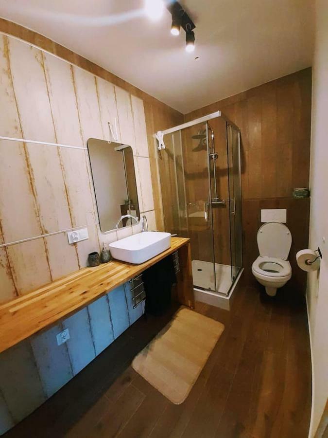 Golubski Loft ゴウビエ エクステリア 写真